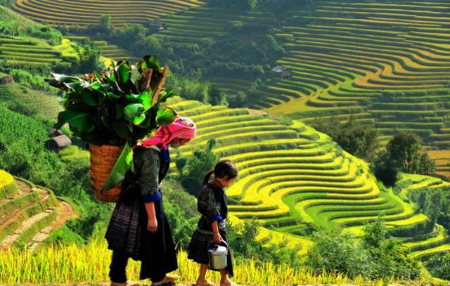 Khach San Sapa Ngay Nay Hotel Kültér fotó